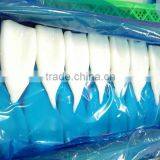 Stock Available Frozen Squid Tube U5/7/10 thumbnail-2