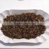 Organic Golden Tips Tea thumbnail-1