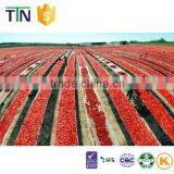 TTN Slightly Sour Sun Dried Vegetable Fruits Tomato thumbnail-5
