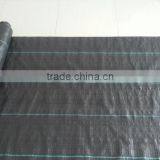 Anti weed cloth,PP woven weed control mat for ex-factory price