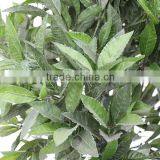 Fake Artficial Decorative Topiary Bay Ball Tree House Wooden Trunk thumbnail-3