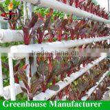 Indoor Hydroponic Growing Equipment for Greenhouse