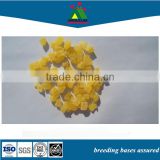 suppliers pet natural food dried pineapple