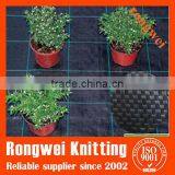 Black and Green Ground Cover thumbnail-2