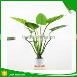 Green Kingdom Artificial Potted Plant Cheap thumbnail-2
