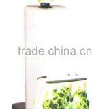 Personalized Handmade Painted Decorative Poly Resin Frog Paper Towel Napkin Holder thumbnail-1