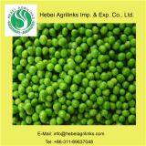 Frozen IQF Green Peas thumbnail-1