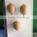 Onigiri Automatic Encrusting Machine thumbnail-1