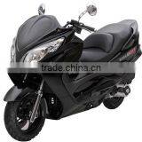 SCOOTER GOES thumbnail-6