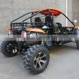 Renli go Kart for Adult 1500cc Chery Engine for Sale thumbnail-3