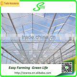Agricultrual PC Sheet Greenhouse Shade Green House Design thumbnail-4