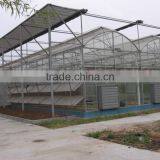 Hot-Dip Galvanized Steel Pipe Frame And 150mm PE Film Covered Multi-Span Greenhouse For Vegetables thumbnail-4