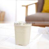 Plastic Tall Fleshiness Square Flower Pot thumbnail-4