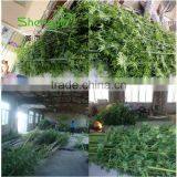 SJLJ013723 High Quality Artificial Bamboo Stick Plastic Evergreen Bamboo Plant