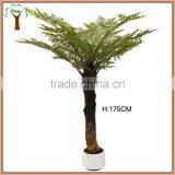 Artificial Spinulose Fern Tree for Landscape Project Using thumbnail-1
