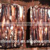 New Food Price of Illex Squid thumbnail-3