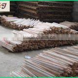 Eucalyptus Wooden Snow Shove Handle thumbnail-6