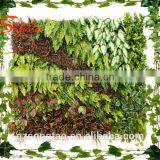Eco-friendly Garden and Home Decoration Artificial Green Wall Moving thumbnail-5