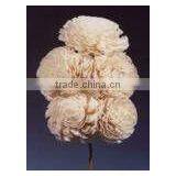 CHORKY GROOV Diffuser Flower thumbnail-1