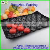 Pengzhou Plastic Ice Cube Tray thumbnail-4