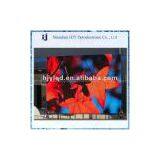 P10 Outdoor Led Video Display thumbnail-1