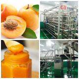 apricot paste processing line