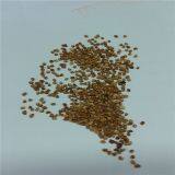 Walnet Shell /walnut Sand Polishing thumbnail-3