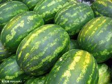 Middle Maturity Good Disease Resistance Hybrid f1 Watermelon Seeds for Planting thumbnail-4