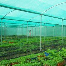 Greenhouse Agricultural shade net NEW HDPE sun shade net