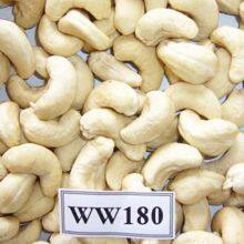 Cashew Nuts Ww450 W180/ W320/ W240/ Good Material for EU Quality thumbnail-4