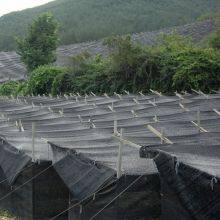 Factory Supply High Quality 75% Black Sun Shade Net All Sizes Available thumbnail-6