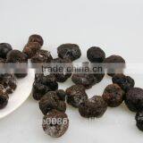 Black Truffle From Sunshine thumbnail-4