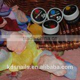 Soak off Color UV Gel 2015 Best Selling Nail Use Products Nail Use Glue
