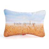 Vintage Wholesale Leather Covers Elegant Throw Pillows With Inserts Supplier's Choice