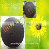 Competitive Price Nylon Canvas Conveyor Belt thumbnail-2