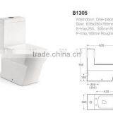 One Piece Washdown Wall Back Toilet Price Foshan Sanitary Ware Toilet Commode B1305 thumbnail-2
