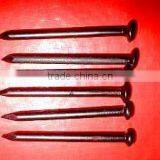 Santiago Market Concrete Building Nail thumbnail-5