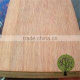 Keruing Veneer Plywood Factory in Linyi Guangdong Shipping Container Plywood thumbnail-6