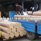 Screen Fabric,projection Screen Fabric
