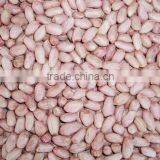 Raw Peanut Kernel for Sale thumbnail-3