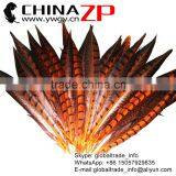 CHINAZP Factory Exporting Wholesale High Quality Dyed Orange Lady Amherst Pheasant Tail Feathers for DIY Decorations thumbnail-1