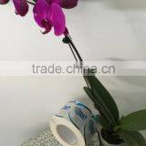 High Quality Cheap Price Vinyl Material Wine Stickers Printed Self-adhesive Labels