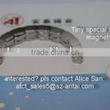 Sintered Rare Eath Tiny Ndfeb Magnet