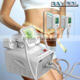 Slimming Reshaping 2015 Professional Small 220 / 110V Cryolipolysis Fat Freeze Slimming Machine