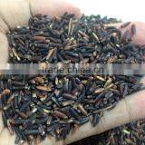 Organic Rice Berry From Thailand OEM thumbnail-6