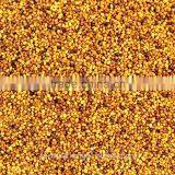 Australian Clover Seeds thumbnail-1