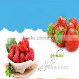 Natural Strawberry Chips Mixed With Breakfast Cereal thumbnail-1