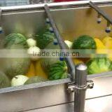 Hp-360 Vegetable And Fruit Brush Washing Washer And Drying Dryer Machine thumbnail-2