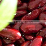 Dalian Jinshengxi International Trading Co., Ltd. company overview - view 1 thumbnail