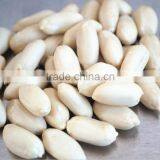 Groundnut Kernels/peanuts Kernels thumbnail-4